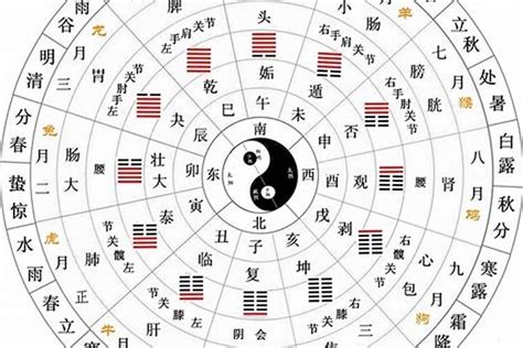 天干地支是什麼|何为“天干地支”？ 详解“天干地支”的具体含义